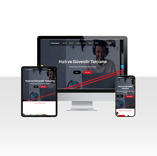 Vize ve Tercümanlık Şirketi Web Sitesi Paketi - World